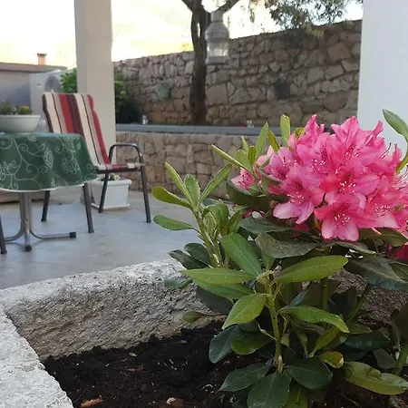 Διαμέρισμα Red Coral *